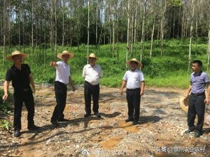惠州市農(nóng)業(yè)農(nóng)村局副局長李冠源到龍門縣現(xiàn)場(chǎng)督查中央環(huán)保督察整改任務(wù)落實(shí)情況